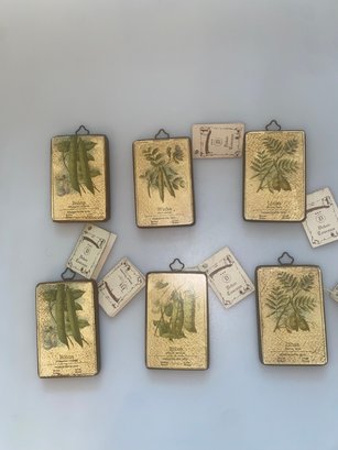 Set Of 6 Mini Wooden Botanical Plaques