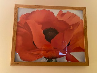 Large Framed Hibiscus