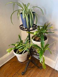 Heavy Cast Iron Plant Stand With Plants
