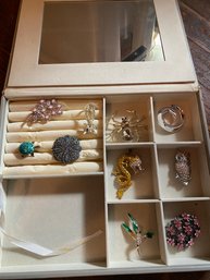 Jewelry Box With Assorted Pins