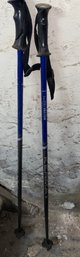 Vector Ski Poles 46