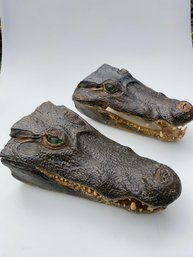 Alligator Heads