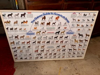 Dogbreeds Poster