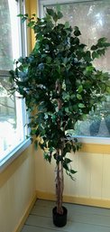 Artificial Ficus Tree