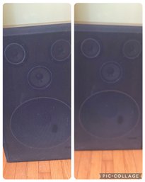 Pair Of Fisher Floor Speakers DS-176