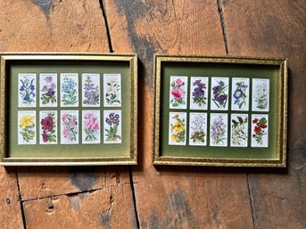 Vintage Flower Cigarette Cards