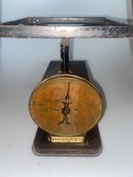 American Cutlery Co Chicago Kitchen Scale