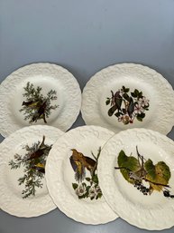 Alfred Meakin BIRDS OF AMERICA Embossed Floral Rim DINNER PLATES