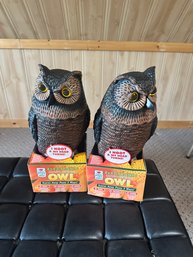 Decoy Owls