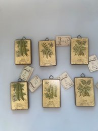 Set Of 6 Mini Wooden Botanical Plaques