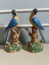 Pair Of Andrea By Sadek Parrots Figures