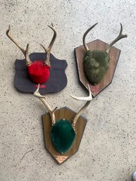 Deer Antler Trio