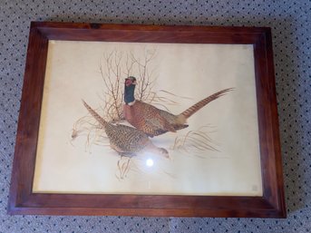 Mallard Duck Print Framed