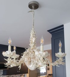 Natural Sea Shell Chandelier