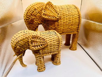 Pair Of Elephants