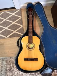 Acoustic Guitar And Extras (vintage)
