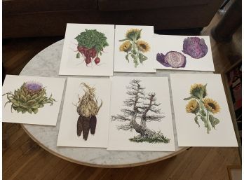 Lot Of 7 Glicee Prints By Renowned Artist Jeannetta Van Raalte