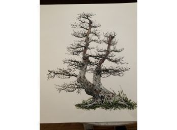 Large Glicee Print By Renowned Artist Jeannetta Van Raalte