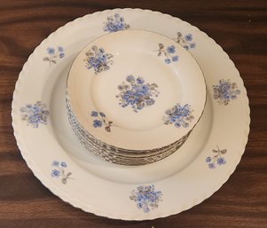 Fine Bohemian China Floral Decorated Porcelain Cake Set