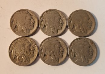 Six Buffalo Nickels