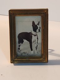 Antique Brass Standing Frame With Photograph Of Boston Terrier