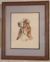 Watercolor Painting Of A Basset Hound By D. G. Voigt