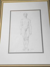 Pencil Drawing Of A Nude Male Signed, Sante Graziani (american 1920-2005) After George Stubbs