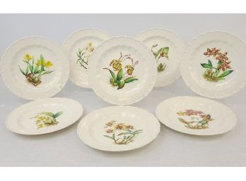 8-  Copeland Spode J. Price Signed Plates - 9' Botanical Series