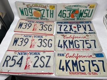Pack Of 8 Rustic Worn License Plates New York California Florida Texas