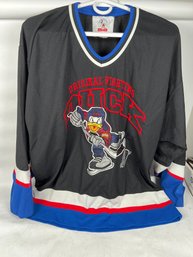 Rare Vintage STARTER Mickey & Co Original Fighting Duck Hockey Jersey 90s