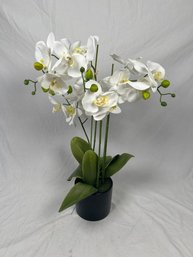 22 In. Artificial White And Yellow Orchid Plant With A Black Pot