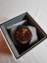 Skagen Men's Watch