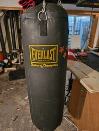 Everlast Punching Bag With Attachments