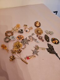 Costume Brooches Lot