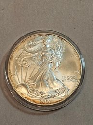 2001 Walking Liberty Silver Coin