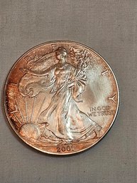 2001 Walking Liberty Silver Dollar