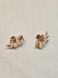 14k Gold Olive Branch With Pearls Screwback Earrings