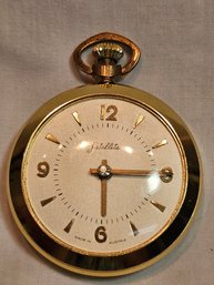 Satellite Pocketwatch