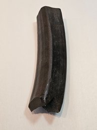 Cast Replica Sloth Tooth