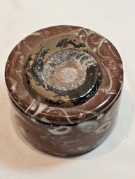 Ammonite Fossil Polished Box