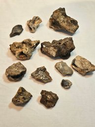 Florida Santa Fe River Crystal Specimens