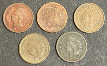 #5 5pc Indian Head Cent