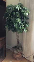 Faux Tree W/ Wicker Planter - Front Room