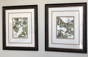 2 Framed Butterfly Art Prints