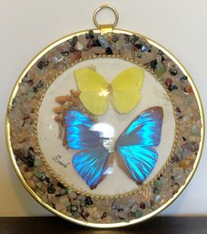 Brazil Butterfly & Semi- Precious Stone Wall Art