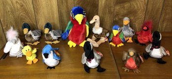 Lot 2 - 13pc TY Beanie Babies Lot - Birds