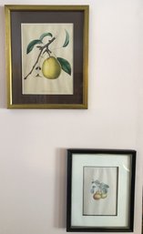 2pc Kitchen Art - Pears