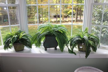 Lot Of Three Faux Ferns With Planters