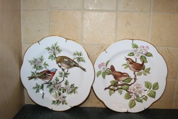 Decorative Bird Plates With Hangers