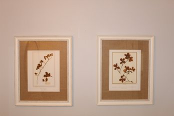 Three Botanical Prints With Burlap Matting & Off-White Frames